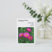 Square Foto (v3) - Michaelmas Daisies 02 Visitenkarte (Stehend Vorderseite)