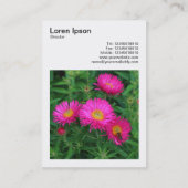 Square Foto (v3) - Michaelmas Daisies 02 Visitenkarte (Rückseite)