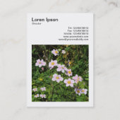 Square Foto (v3) - Rosa Anemonen Visitenkarte (Rückseite)