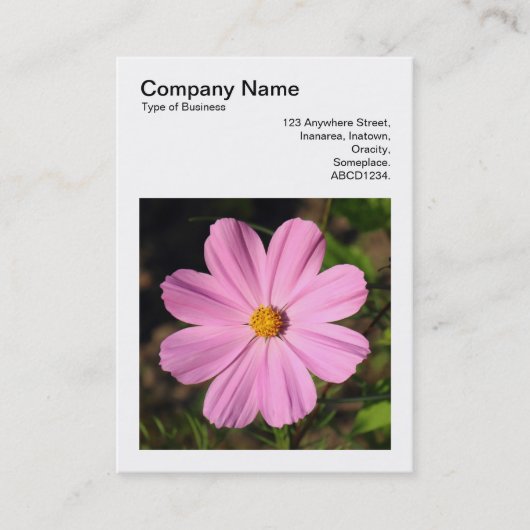 Square Foto (v3) - Rosa Kosmos Visitenkarte (Vorderseite)