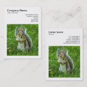 Square Foto (v3) - Started Gray Eichhörnchen Visitenkarte (Vorne/Hinten)