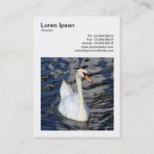 Square Foto (v3) - Swan Visitenkarte (Rückseite)