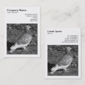 Square Foto (v3) - Taube BW Visitenkarte (Vorne/Hinten)