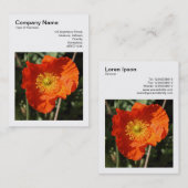 Square Foto (v3) - Welsh Poppy Visitenkarte (Vorne/Hinten)