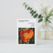 Square Foto (v3) - Welsh Poppy Visitenkarte (Stehend Vorderseite)