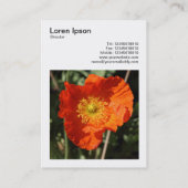 Square Foto (v3) - Welsh Poppy Visitenkarte (Rückseite)