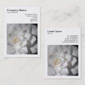 Square Foto (v3) - White Camellia Visitenkarte (Vorne/Hinten)