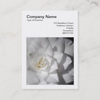 Square Foto (v3) - White Camellia Visitenkarte