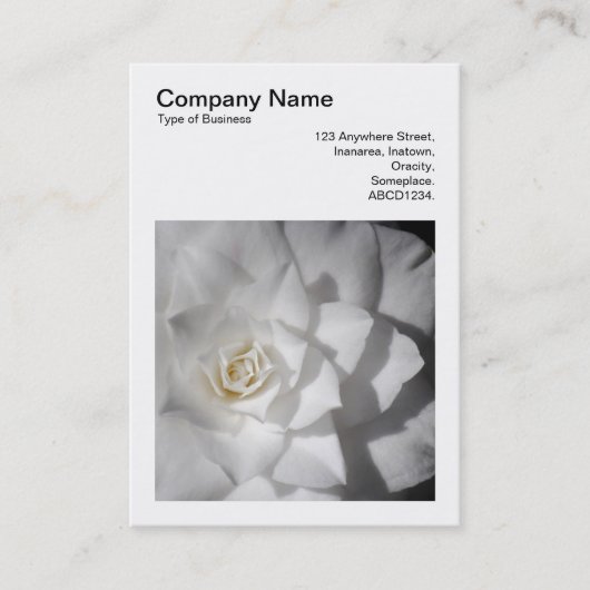 Square Foto (v3) - White Camellia Visitenkarte (Vorderseite)