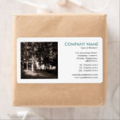 Square Foto - Wald im Park (Insitu)