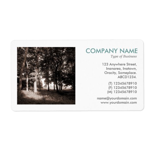 Square Foto - Wald im Park (Vorne)