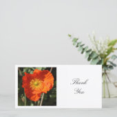 Square Foto - Walisische Mohn Dankeskarte (Stehend Vorderseite)