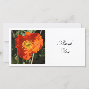 Square Foto - Walisische Mohn Dankeskarte