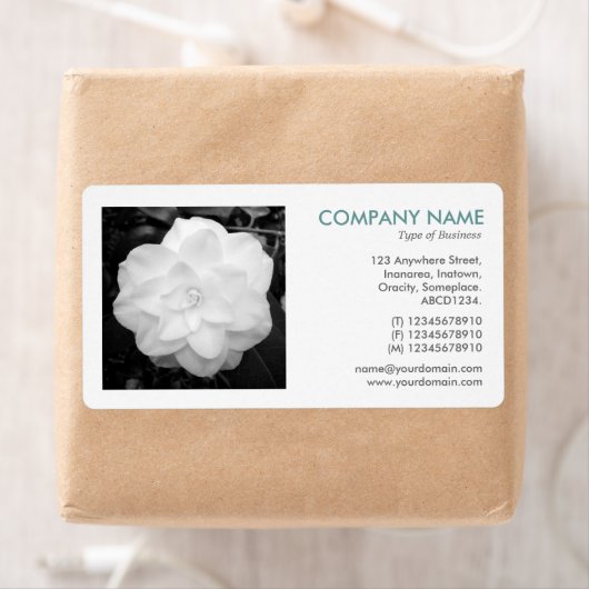 Square Foto - White Camelia (Insitu)