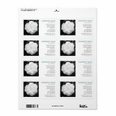 Square Foto - White Camelia (Vorne)