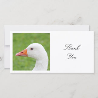 Square Foto - White Goose Dankeskarte