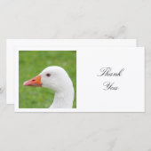 Square Foto - White Goose Dankeskarte (Vorne/Hinten)