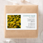 Square Foto - Yellow Daisies (Insitu)