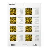 Square Foto - Yellow Daisies (Vorne)