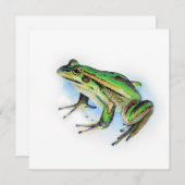 Square Frosch Card (Vorne/Hinten)