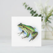Square Frosch Card (Stehend Vorderseite)