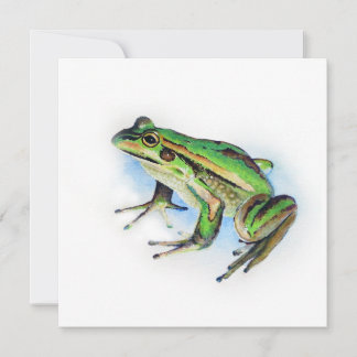 Square Frosch Card