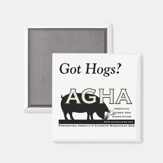 Square "Got Hogs" Magnet (Vorderseite/Rückseite)