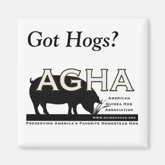 Square "Got Hogs" Magnet