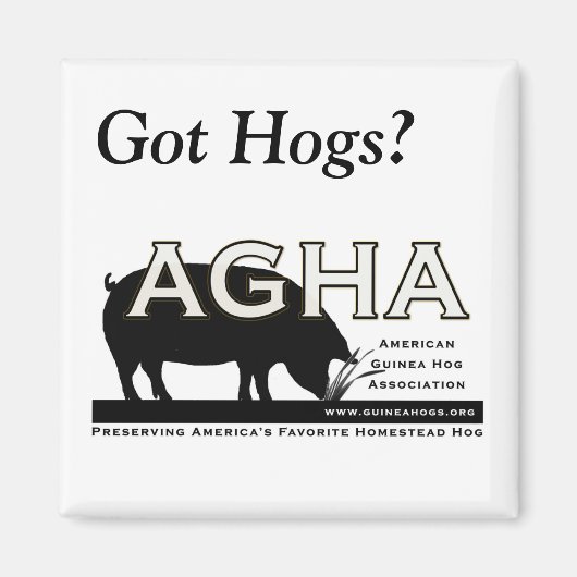 Square "Got Hogs" Magnet (Vorne)