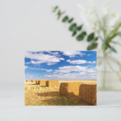 Square Hay Bales Postkarte (Stehend Vorderseite)