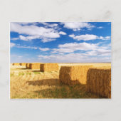 Square Hay Bales Postkarte (Vorderseite)