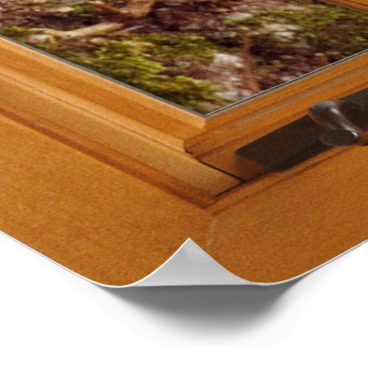 Square Imitats Window Illusion - Eichhörnchen Poster (Ecke)