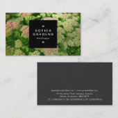 Square Label 01a - Sedum Herbstfreude Visitenkarte (Vorne/Hinten)