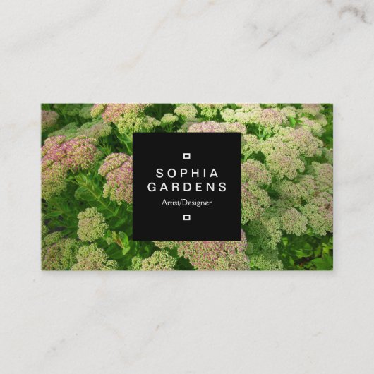 Square Label 01a - Sedum Herbstfreude Visitenkarte (Vorderseite)