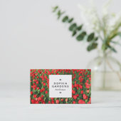 Square Label 03a - Bed of Red Tulips 02 Visitenkarte (Stehend Vorderseite)