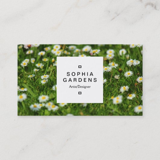 Square Label 03a - Daisy Meadow Visitenkarte (Vorderseite)