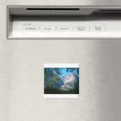 Square Magnet (In Situ (Geschirrspüler))