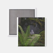 Square Magnet (Vorderseite/Rückseite)