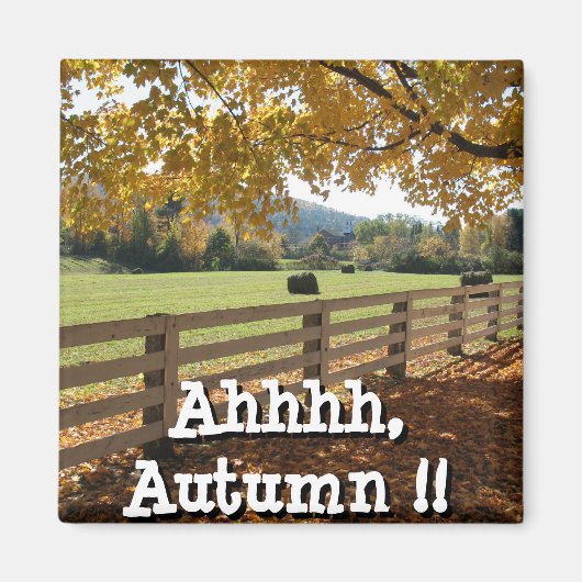 Square Magnet (Vorne)