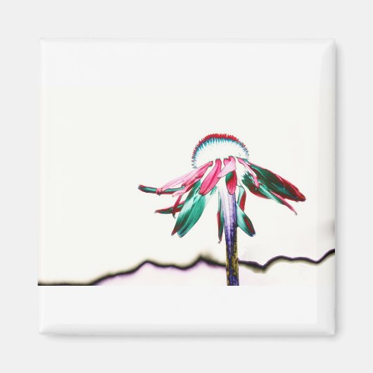 Square Magnet (Vorne)