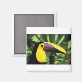 Square Magnet (Vorderseite/Rückseite)