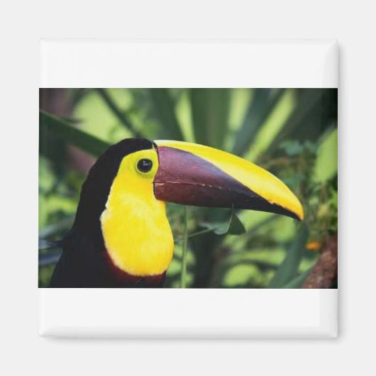 Square Magnet (Vorne)