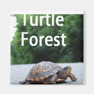 Square Magnet - Maßgeschneidert