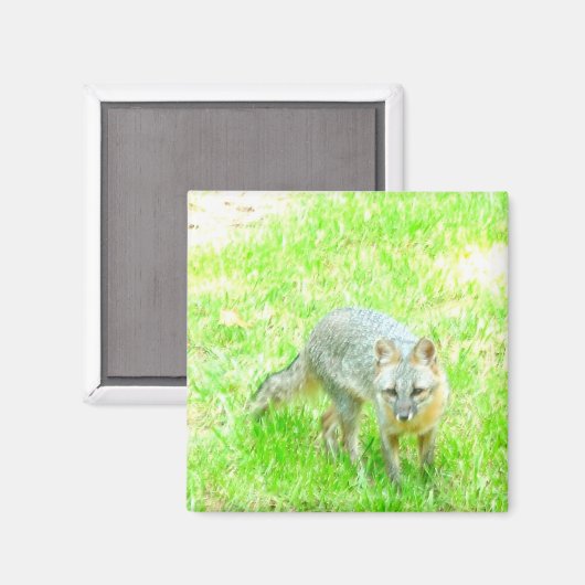 Square Magnet - Maßgeschneidert (Vorderseite/Rückseite)