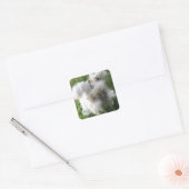 Square Stickers - English Angora Rabbit "Bradley" (Umschlag)
