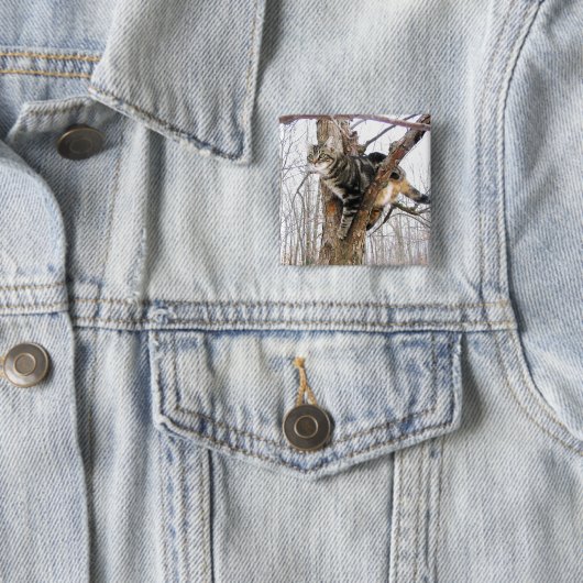 Square Tabby Cat Button (Beispiel)