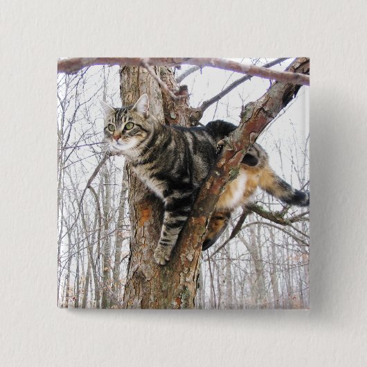 Square Tabby Cat Button (Vorderseite)