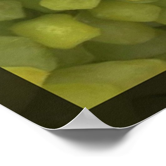 Square Trauben Poster (Ecke)