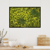 Square Trauben Poster (Küche)