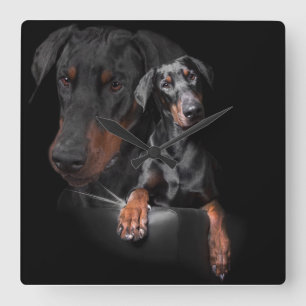 Square Wall Clock Dobermann Quadratische Wanduhr
